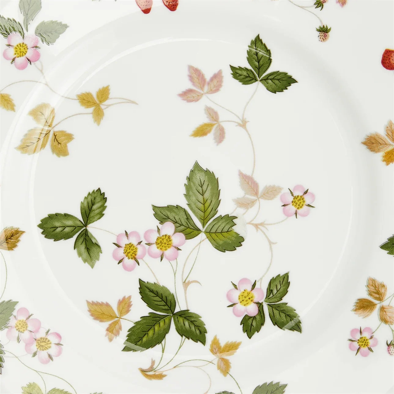 Wedgwood Wild Strawberry Plate 23cm