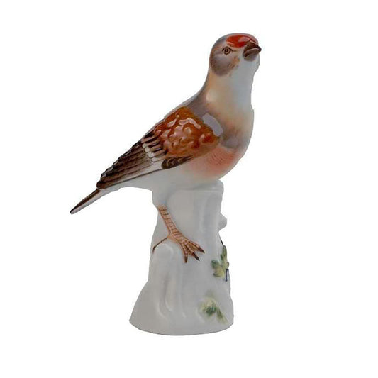 Meissen Bird Figurine Linnet